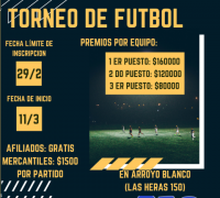 TORNEO DE FUTBOL